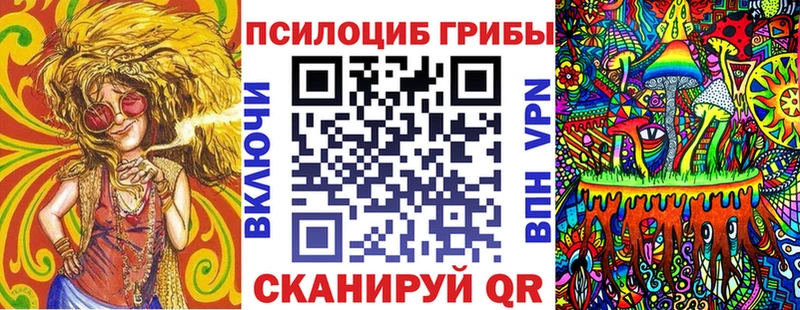 Псилоцибиновые грибы GOLDEN TEACHER  Купить  Дрезна 